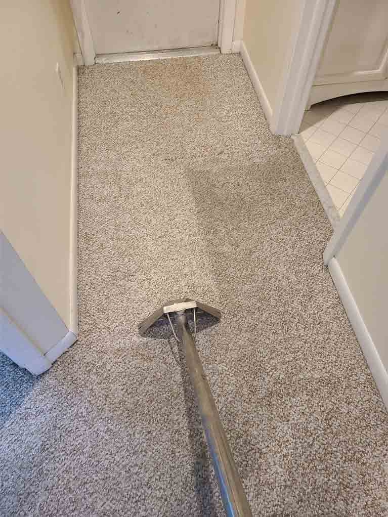 Xteamers-carpet-cleaning-home2
