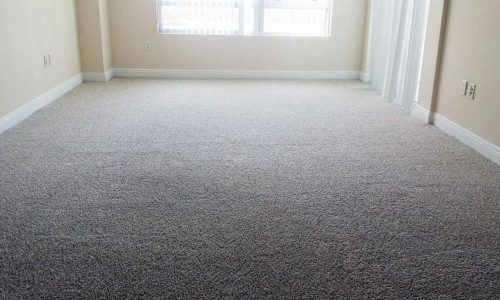 Xteamers-carpet-cleaning-carpet